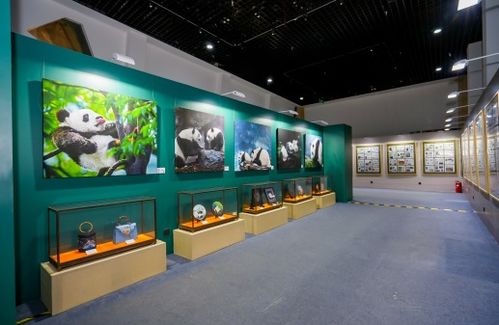 藝術(shù)聯(lián)結(jié)友誼，雙寶共慶甲子——慶祝中法建交60周年大熊貓金絲猴雙寶文化藝術(shù)展在京啟幕